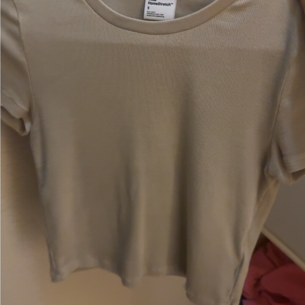 Aritzia Tan Fitted Crop Top T-Shirt